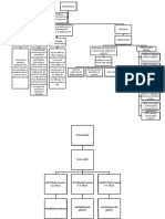 Mapa Conceptual Sexualidad