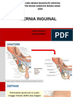 Hernia Ingunal