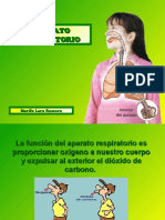 Aparato Respiratorio 52270 14860 PDF