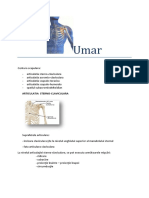 Umar