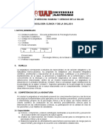SILABO PSICOLOGIA CLINICA Y DE LA SALUD II.doc