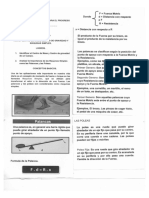 GUIA DE FISICA 11 .....1P-convertido (1).pdf