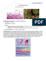 46172445 Clostridium Difficile C Perfringens y C Botulinum