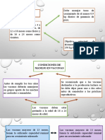 ALIMENTACION Y MANEJO LECHE.pptx