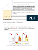 Formato Laboratorio PARTICULAS de Alginato 2019