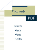 Vasos de La Cabeza y Cuello PDF