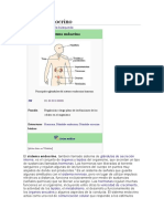 Sistema endocrino