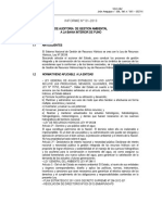 Informe de Auditoria