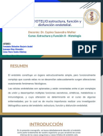 ENDOTELIO Diapositivas PDF