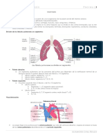 01 - Anatomía, Fisiología, Semiología PDF