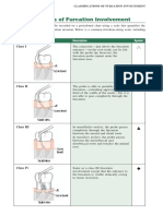 Class_furcation.pdf