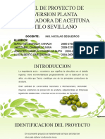 Perfil de Proyecto de Inversion Planta Procesadora de Aceituna Estilo Sevillano Finall