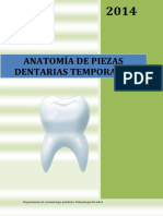 Anatomia Piezas Dentarias Temporales