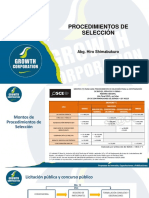 Presentación PPT - Procedimiento de Selección PDF