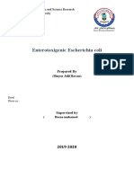 Shnyar Enterotoxic-Escherichia-coli