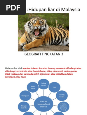 Bab 5 Hidupan Liar Di Malaysia T3 Pdf