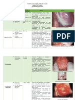 Cuadro Comparativo ITS