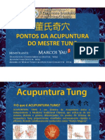 Pontos Extra Mestre Tung Marcos Yau PDF