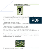 Rectas Paralelas y Secantes..pdf