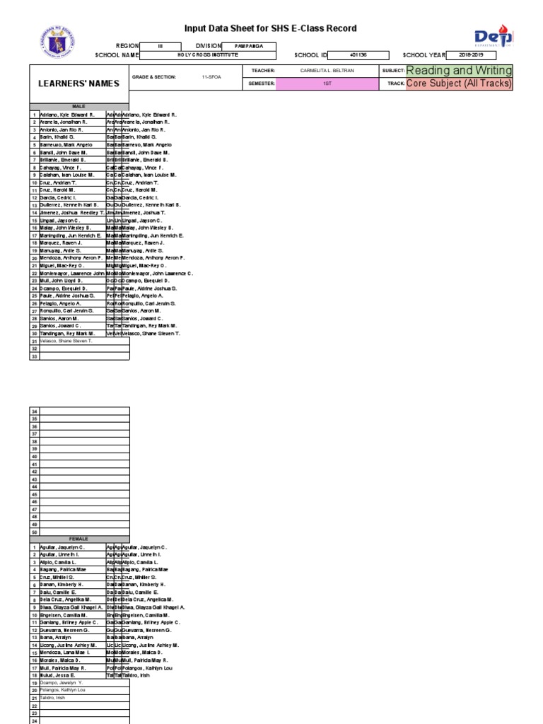 Reading and Writing: Input Data Sheet For SHS E-Class Record | PDF