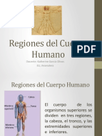 Regiones del Cuerpo Humano