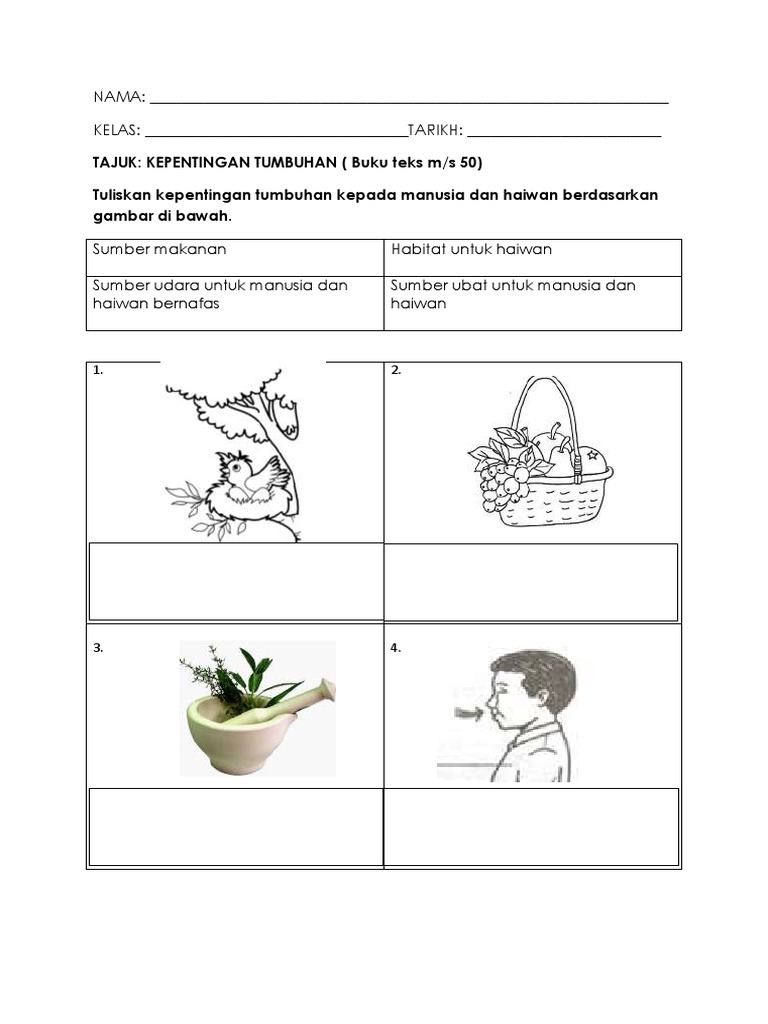 Latihan Sains Pkp Tumbuhan 1 Pdf