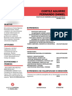 CV Fernando Cortez Aguirre PDF