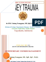 UNTAD PALU 2014 Genitourinary Injuries Management