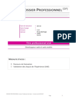 Dossier Pro - Wis 3 - Besse Louis PDF