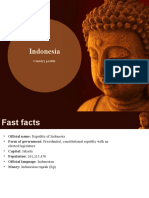 Indonesia: Country Profile
