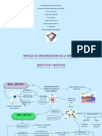 Mapa Mental de La Materia