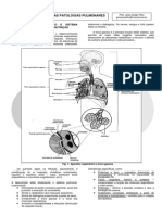 23. Doenças Pulmonares.pdf