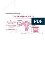 Development of Follicle - Ovulation: Menstrual Cycle 1.ovarian Cycle