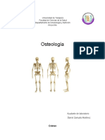 Vertebra Cervical