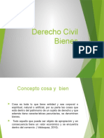 Derecho Civil Bienes I