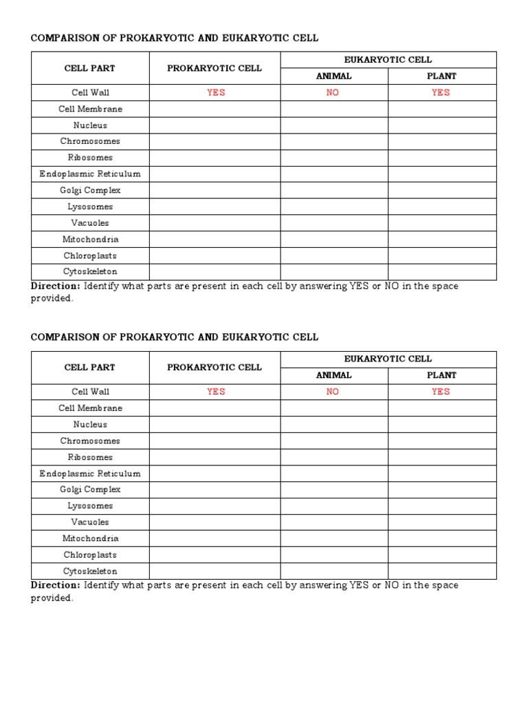 Comparison of Prokaryotic and Eukaryotic Cell | PDF | Eukaryotes | Cell ...