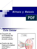 w5 Mitosis - y - Meiosis