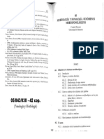 PENSADO - Morfología y Fonología. Fenómenos Morfofonológicos