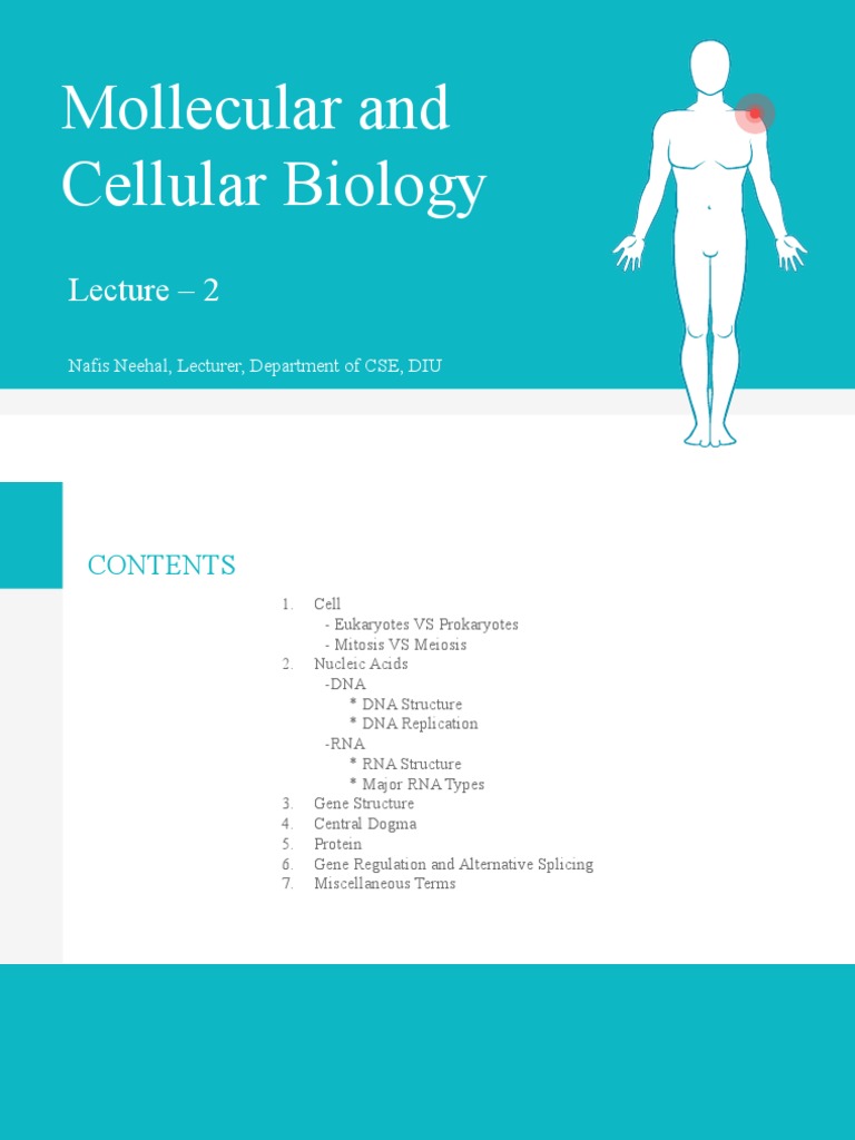 Mollecular and Cellular Biology: Lecture - 2 | PDF | Rna | Messenger Rna