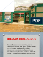 Diapositiva de Riesgos Biologicos