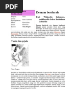 Download All About Demam Berdarah by Dian Pribadi Perkasa Ibrahim SN46572237 doc pdf