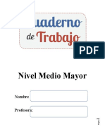 Cuaderno de Trabajo Medio Mayor