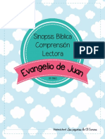 Sinopsis y Compresion Evangelio de Juan PDF
