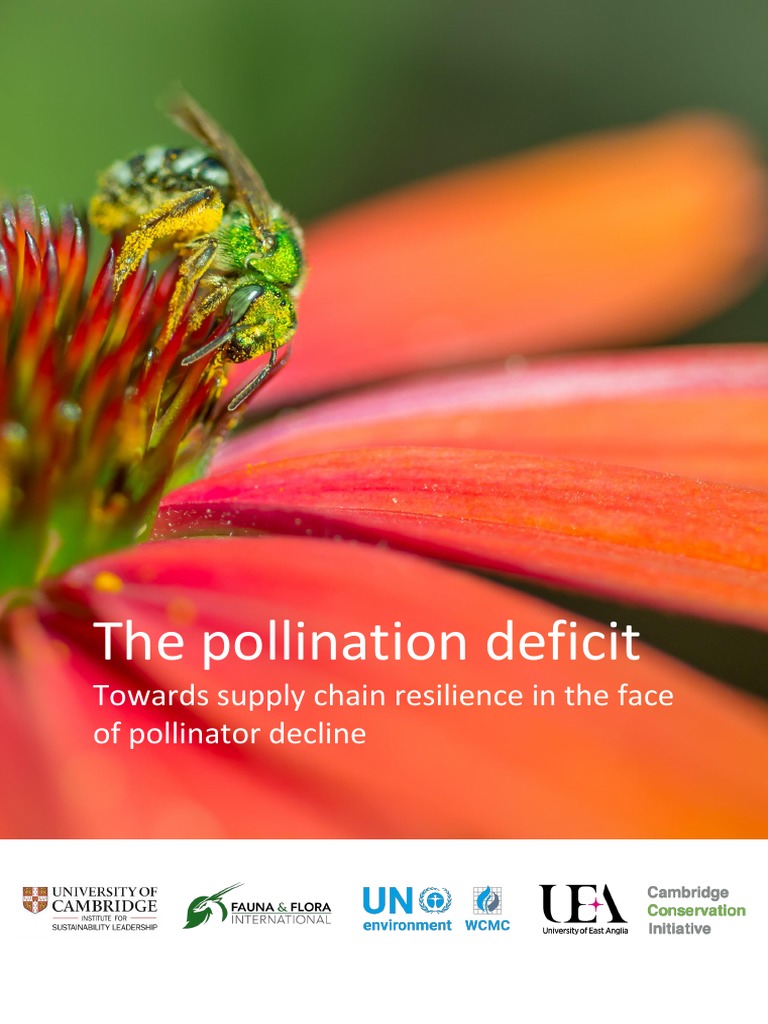 The Pollination Deficit | PDF | Honey Bee | Agriculture