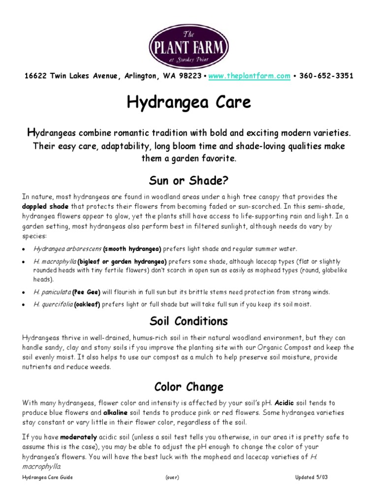 Easy Care Hydrangeas Guide | PDF | Pruning | Soil