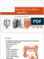 Anatomia quirurgica de colon y apendice 