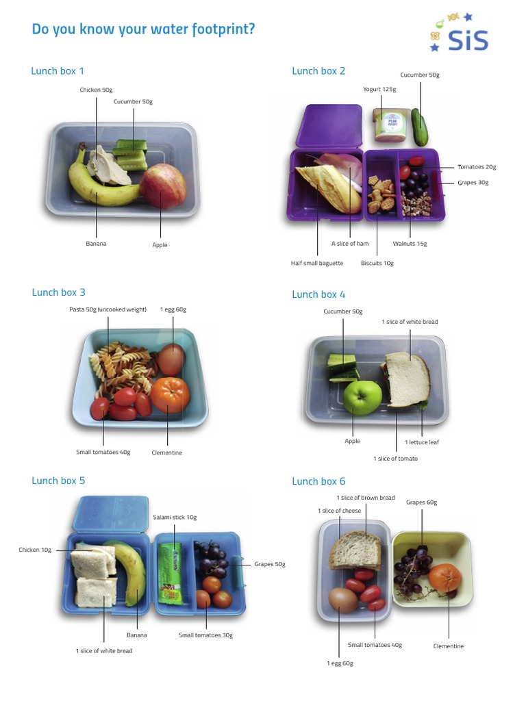 Water Footprint Boxes PDF | PDF | Eating Behaviors Of Humans | European ...