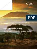 Oil and Gas in Africa Brochure (606962576 - 3)