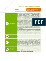 1110_biobac-E coli verotoxigenicas.pdf