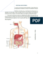 Aula 10 - Sistema Digestório